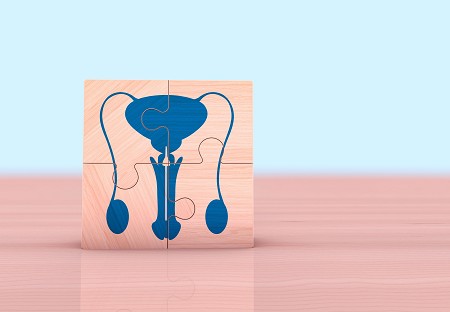 Disfunzione Erettile Rimedi | Prostatectomia Robotica Complicanze | Rapporto psa Libero/psa Totale